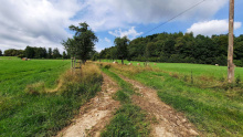 stromořadí
